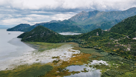 Skadarsee - Montengro